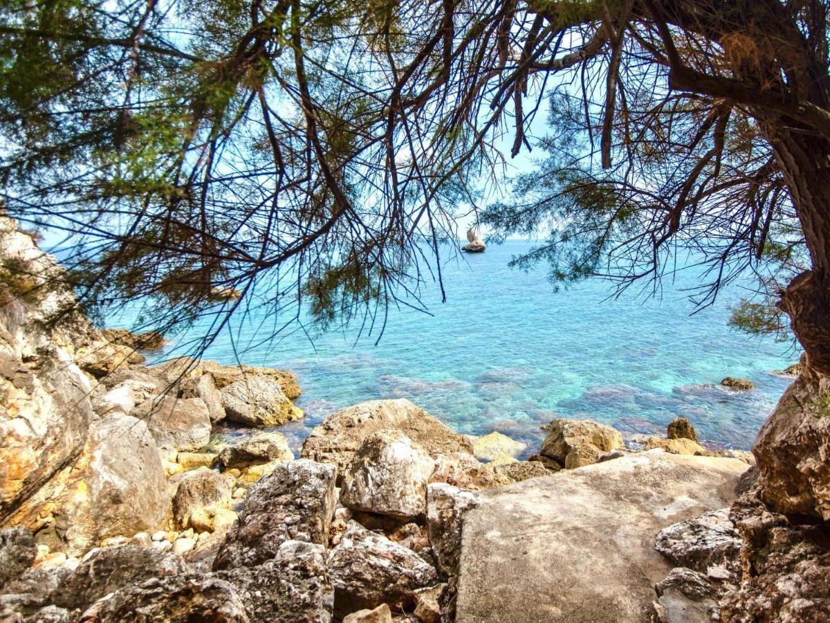 Villa La Vela By Interhome Scopello  Εξωτερικό φωτογραφία